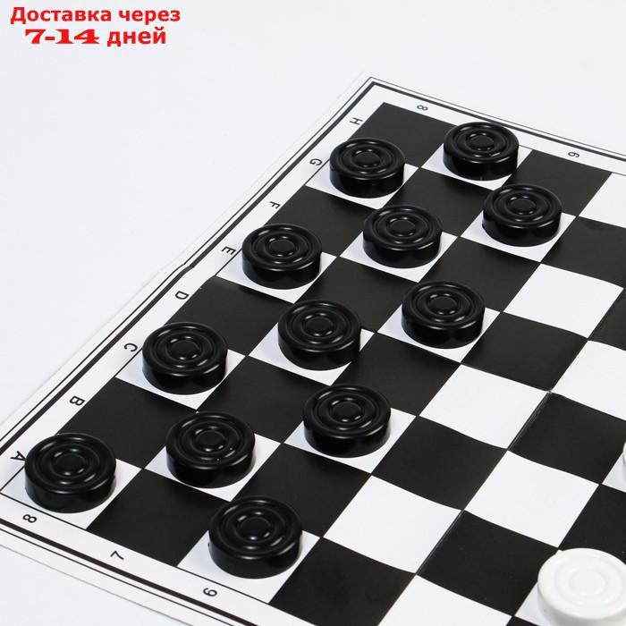 Набор шахматы и шашки, шахм. поле,фигуры пластик, король h=7 см,пешка h=4 см, d шашки=2.9 см - фото 4 - id-p226956613