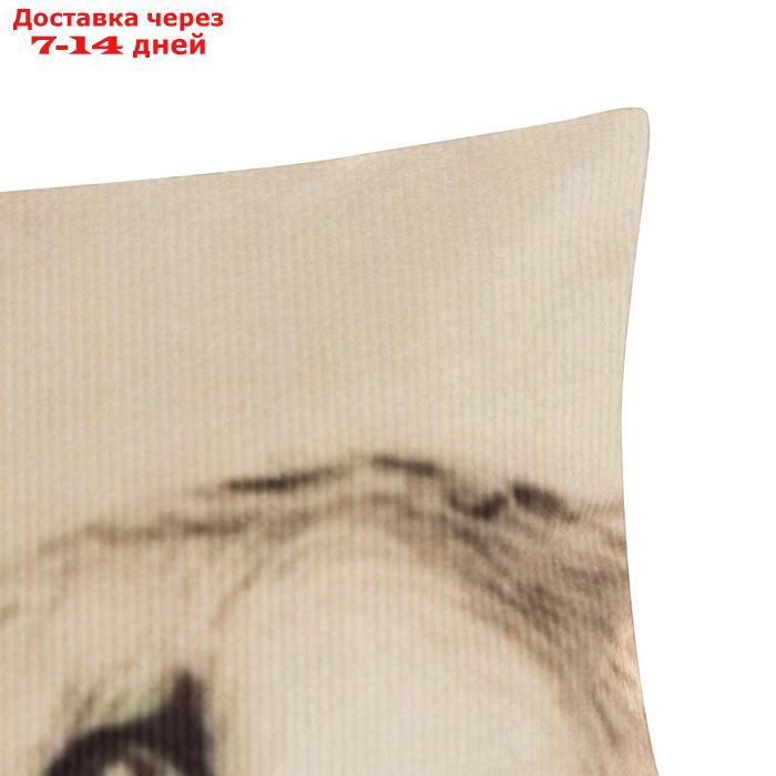 Чехол на подушку Этель "Совы" 40 х 40 см, велюр - фото 2 - id-p226951391