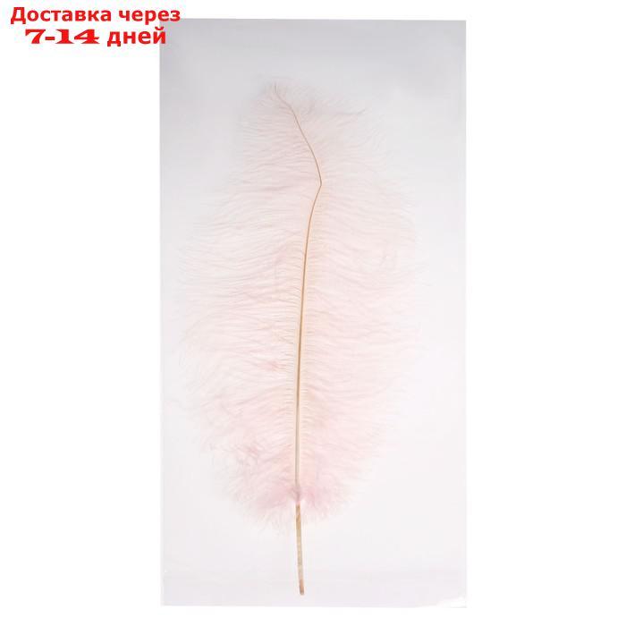 Перо для декора, длина от 45 до 50 см, цвет розовый - фото 3 - id-p226958256