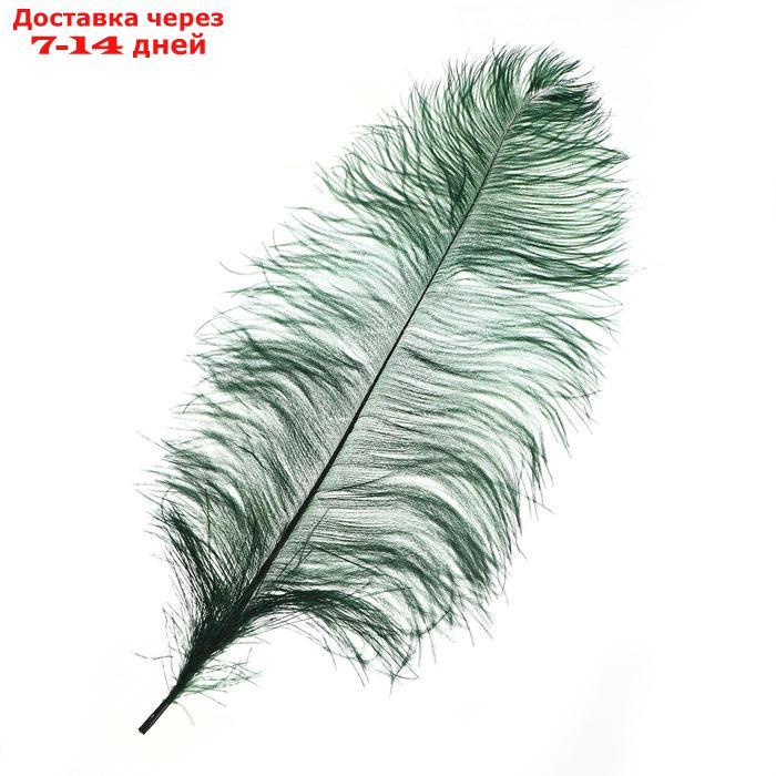 Перо для декора, длина от 45 до 60 см, цвет темно-зелёный - фото 1 - id-p226958259