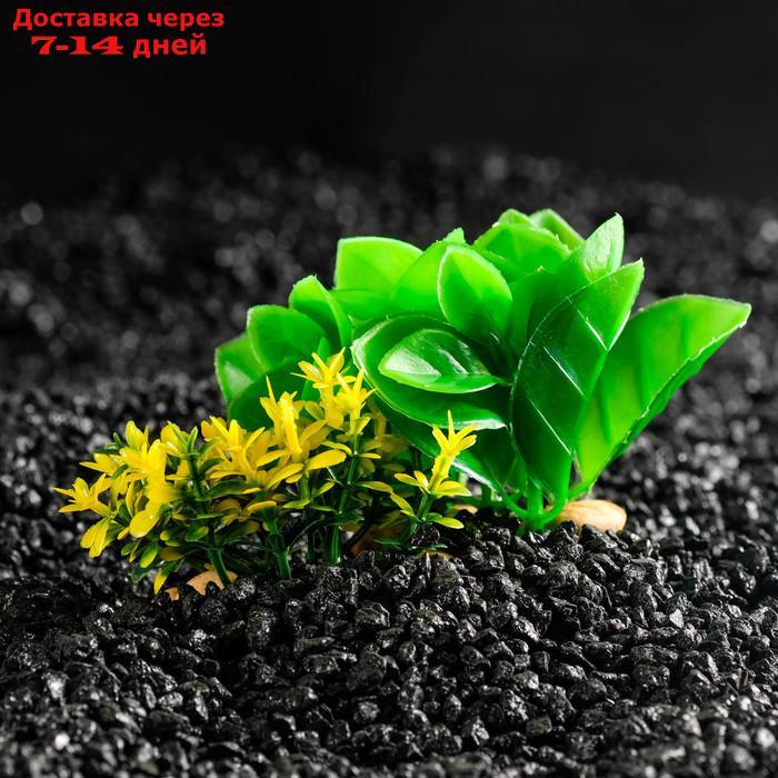 Растение искусственное аквариумное на подставке под камень, 12 х 12 х 6 см - фото 2 - id-p226965431