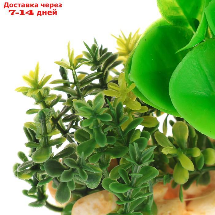 Растение искусственное аквариумное на подставке под камень, 12 х 12 х 6 см - фото 4 - id-p226965431