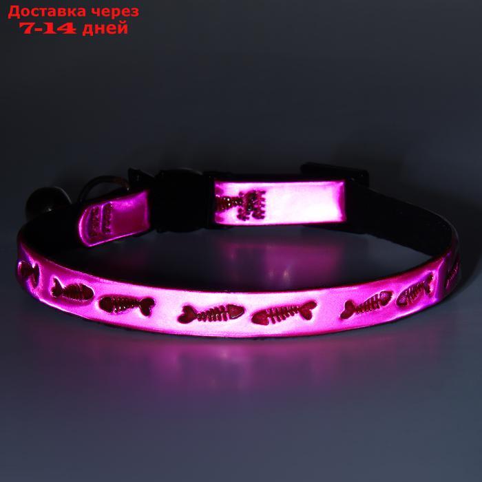 Ошейник кошачий со светоотражающим покрытием "Рыбки", 30 х 1 см, розовый - фото 7 - id-p226989051