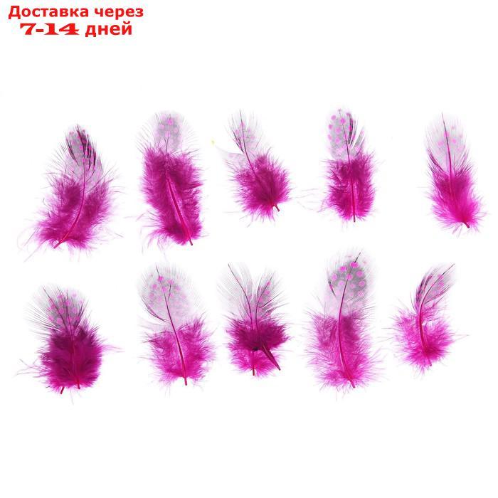 Набор перьев для декора 10 шт., размер 1 шт: 5 × 2 см, цвет розовый с чёрным - фото 1 - id-p226989317