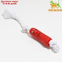 Игрушка "Брутальная сосиска на верёвке" для собак, 14 см