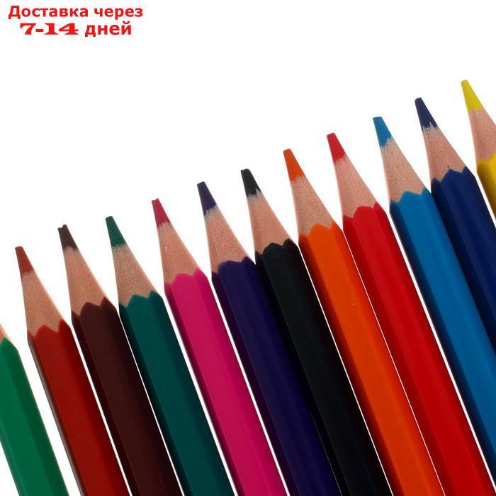 Карандаши цветные 12цв Mate пластиковые с европодв 68177 - фото 3 - id-p226969139