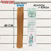 Кукольные волосы-тресс "Прямые" длина волос: 40 см, ширина: 50 см, №27В