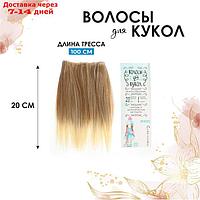 Волосы - тресс для кукол "Прямые" длина волос: 20 см, ширина: 100 см, №LSA051