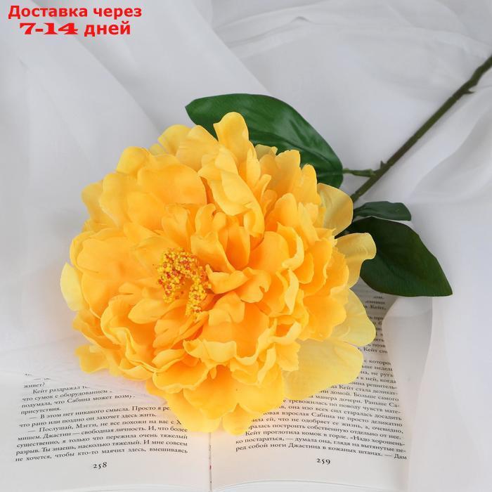 Цветы искусственные "Пион бархатный" 15*55 см, жёлтый - фото 1 - id-p226955880