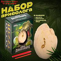 Набор археолога "Диплодок", серия "Окаменелое яйцо динозавра"