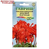 Семена цветов Цикламен "Красный партизан", персидский, 3 шт
