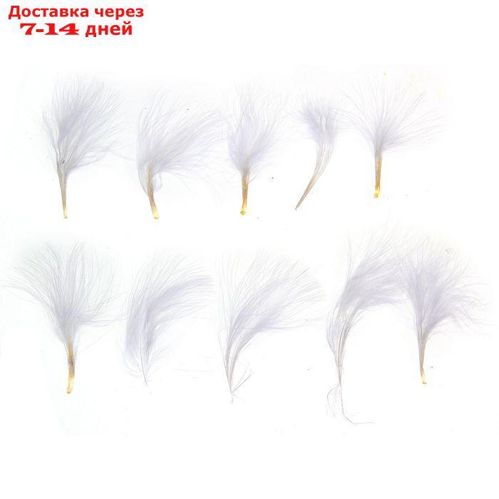 Набор перьев для декора 10 шт., размер 1 шт: 7 × 7 см, цвет белый - фото 1 - id-p226967929