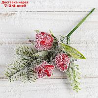 Декор "Зимнее очарование" ягодки звезда хвоя иней 15 см