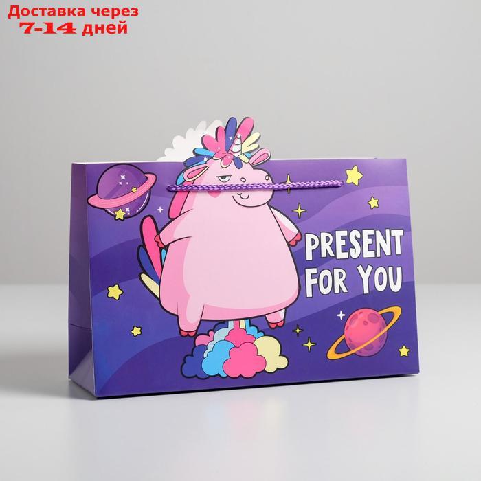 Пакет подарочный Present for you, 30 × 23 × 10 см - фото 1 - id-p226965806