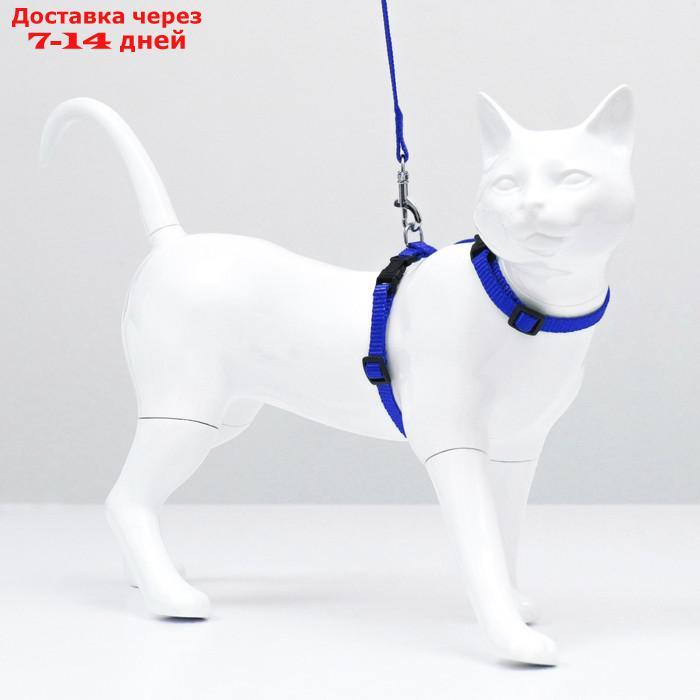 Комплект для кошек, ширина 1 см, ОШ 16,5-27 см, ОГ 21-35 см, поводок 120 см, голубой - фото 4 - id-p226965822