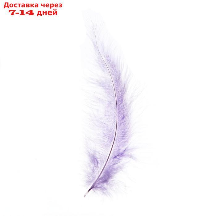 Набор перьев для декора, набор 10 шт., размер 1 шт: 10×2 см, цвета пудровые МИКС - фото 2 - id-p226987939