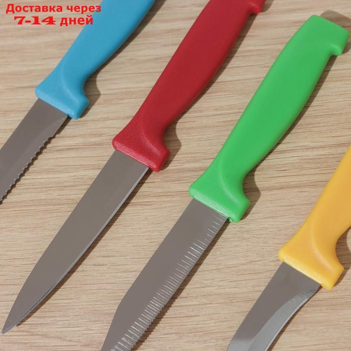 Набор кухонных ножей "Радуга", 4 предмета, лезвие 6,5 см, 8,5 см, 9,5 см, 11,5 см, на подставке, цвет МИКС - фото 3 - id-p226957096
