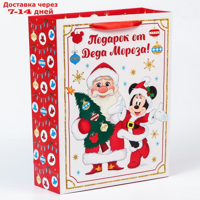 Пакет ламинат вертикальный "Подарок от Деда Мороза", Микки Маус и друзья, 31х40х11,5 - фото 1 - id-p226968065