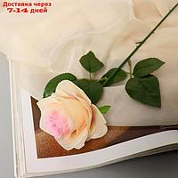 Цветы искусственные "Роза Глория" 9*60 см, кремовая