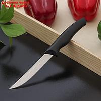Нож Доляна "Грайм" универсальный, лезвие 11,5 см, цвет чёрный