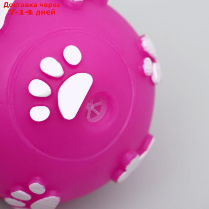 Мячик пищащий "Лапки" для собак, 5,5 см, фиолетовый - фото 2 - id-p226961917