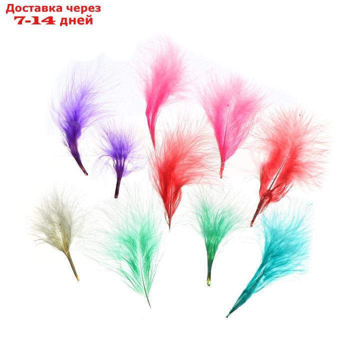 Набор перьев для декора 10 шт., размер 1 шт: 7×7 см, цвета пудровые МИКС - фото 1 - id-p226968180