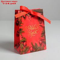 Пакет подарочный с лентой "С Новым годом", 13 × 19 × 9 см