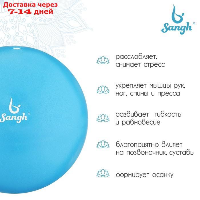 Мяч для йоги, 25 см, 100 г, цвет синий - фото 2 - id-p226959280