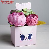 Коробка для цветов с топпером "Котик", 11 х 12 х 10 см