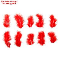 Набор перьев для декора 10 шт., размер 1 шт: 10 × 2 см, цвет красный