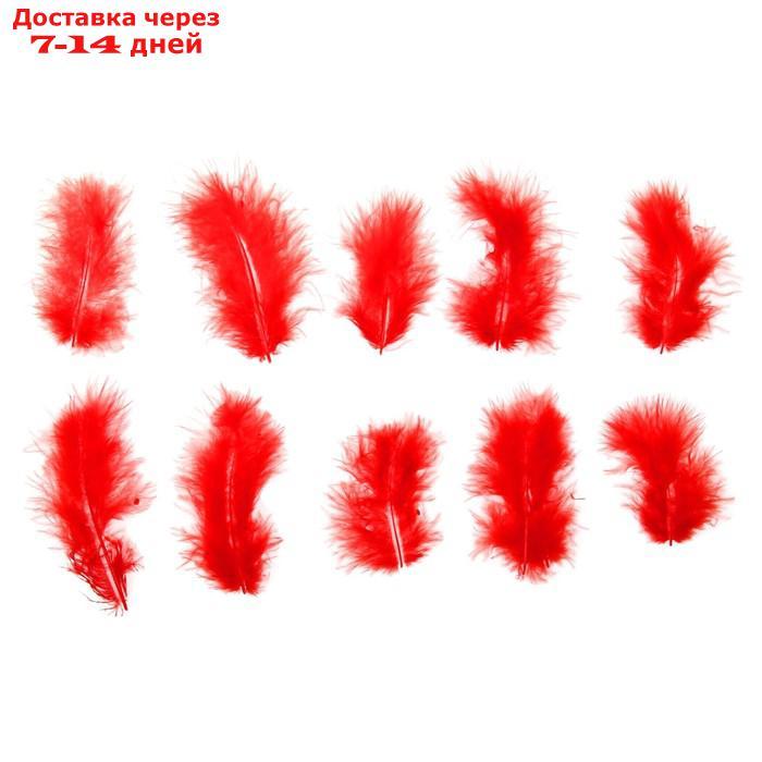 Набор перьев для декора 10 шт., размер 1 шт: 10 × 2 см, цвет красный - фото 1 - id-p226985543
