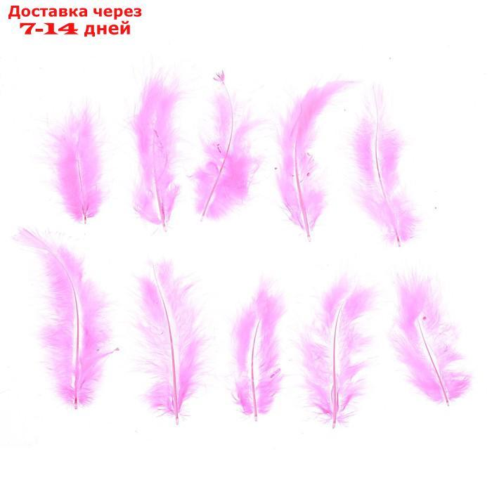 Набор перьев для декора 10 шт., размер 1 шт: 10 × 2 см, цвет розовый - фото 1 - id-p226985544
