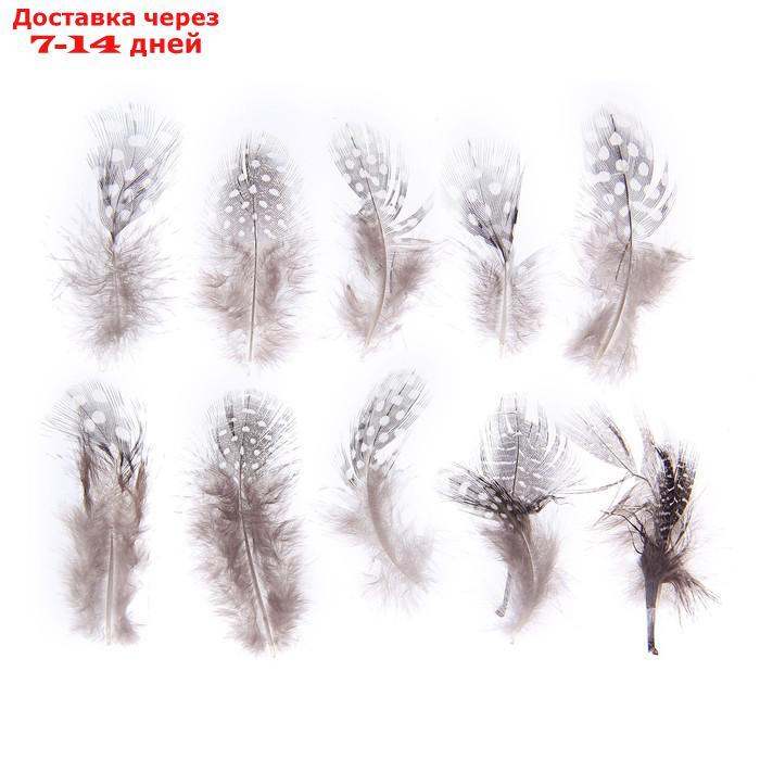 Набор перьев для декора 10 шт., размер 1 шт: 5 × 2 см, цвет коричневый с белым - фото 1 - id-p226985545