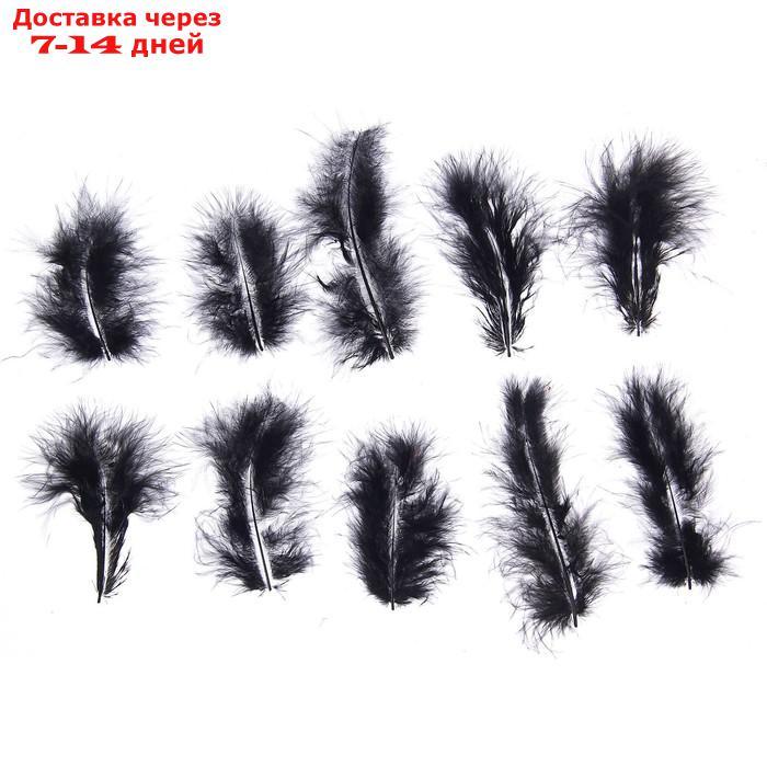 Набор перьев для декора 10 шт., размер 1 шт: 10 × 2 см, цвет чёрный - фото 1 - id-p226985548