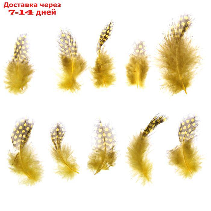 Набор перьев для декора 10 шт., размер 1 шт: 5 × 2 см, цвет жёлтый с коричневым - фото 1 - id-p226985550