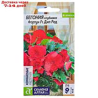 Семена комнатных цветов Бегония Фортун "Дип Ред" клубневая, Мн, цп, 5 шт.
