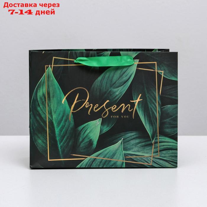 Пакет ламинированный горизонтальный Present for you, MS 23 × 18 × 10 см - фото 2 - id-p226977611