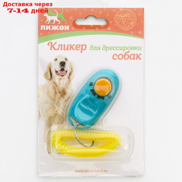 Кликер для дрессировки собак с браслетом на руку, голубой - фото 4 - id-p226977624