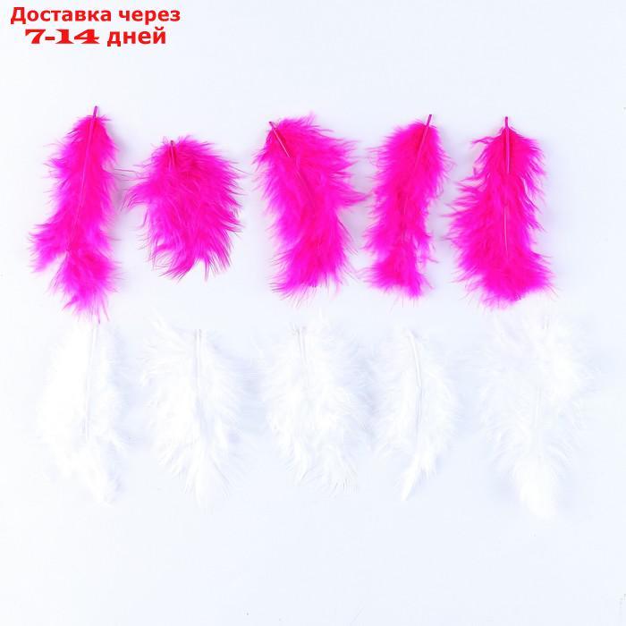 Набор перьев для декора, набор 10 шт., размер 1 шт: 10×2 см, цвета МИКС - фото 1 - id-p226971790