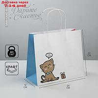 Пакет подарочный крафтовый "Котик", 25 × 22 × 12 см