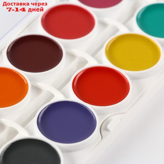 Акварель медовая 24 цвета ArtFox STUDY пластик, без кисти - фото 4 - id-p226989480