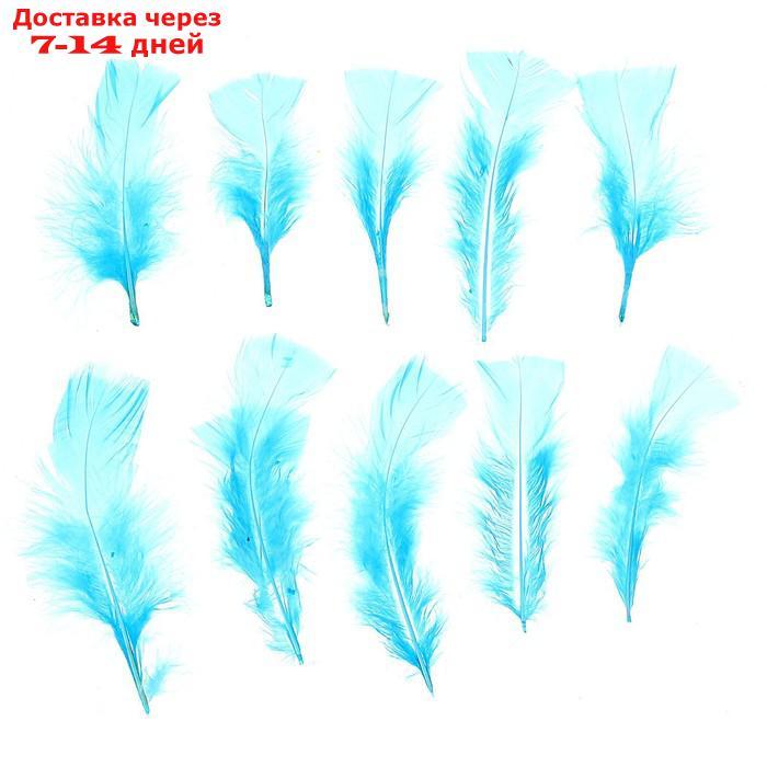 Набор перьев для декора 10 шт., размер 1 шт: 10 × 4 см, цвет голубой - фото 1 - id-p226989550