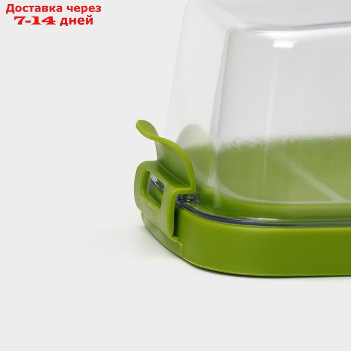 Маслёнка "Летиция", 16,5×10 см, цвет оливковый - фото 6 - id-p226998275