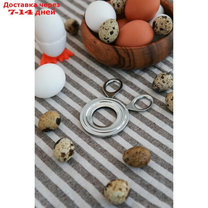 Ножницы для яиц, нержавеющая сталь - фото 1 - id-p227000461