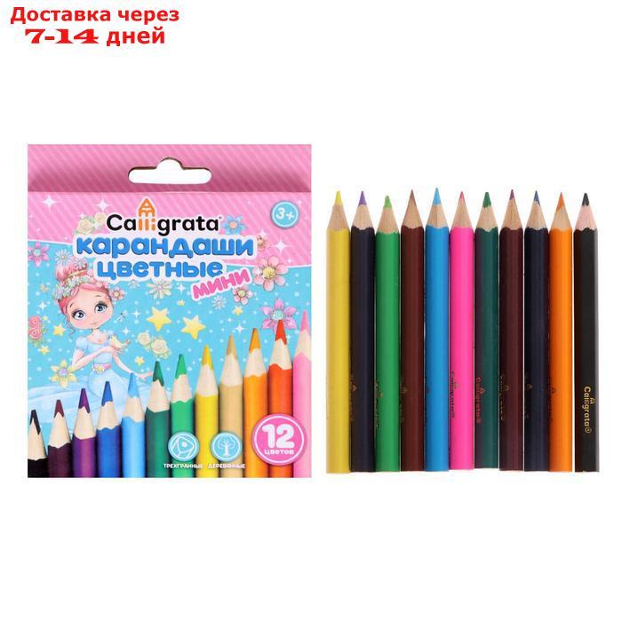Карандаши цветные Calligrata "МИНИ" в картонной коробке "Принцесса" 12 цветов, корпус треугольный (деревянный) - фото 5 - id-p226989950