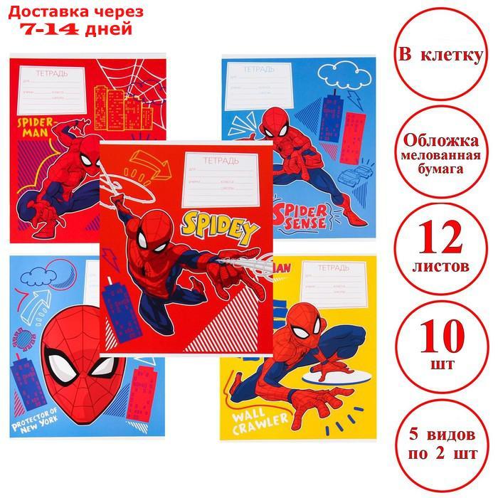 Комплект тетрадей из 10 шт "Человек-паук", 12 листов, в клетку, обложка бумага мелованная, - фото 1 - id-p227000533