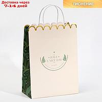 Пакет подарочный крафтовый Nice day, 23 × 30 × 12 см
