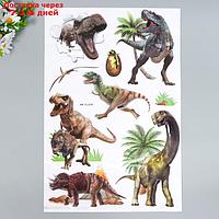 Наклейка пластик интерьерная 3D "Динозавры" МИКС 50х32 см
