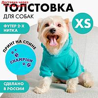 Толстовка для собак(футер петля двунитка) XS Голубой