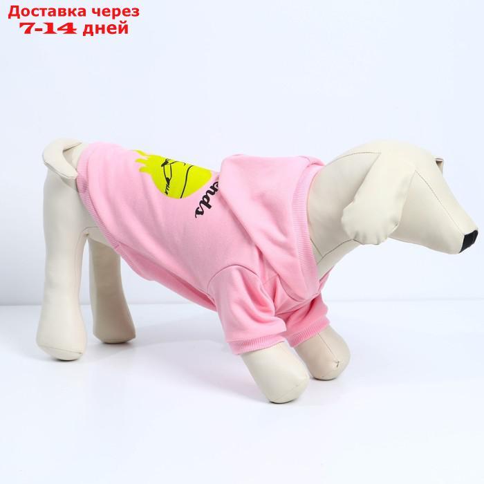 Толстовка для собак(футер петля двунитка) XS Розовый - фото 2 - id-p227025750